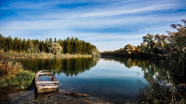 Angeln an der Donau – wo der Fisch zuhause ist